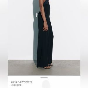 Zara long flowy pants
